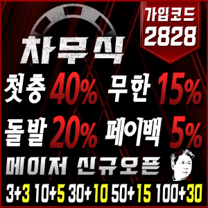 차무식벳
